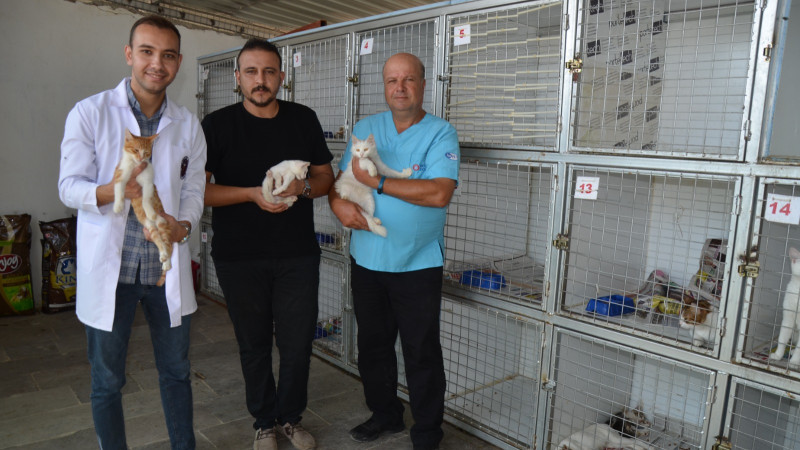 Serik belediyesi Sokak Hayvanları Bakım ve Rehabilitasyon merkezi son sürat çalışıyor