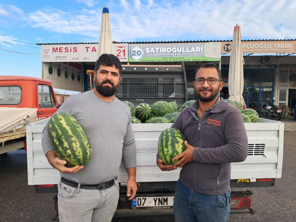 Erkenci karpuz tezgahlardaki yerini aldı 