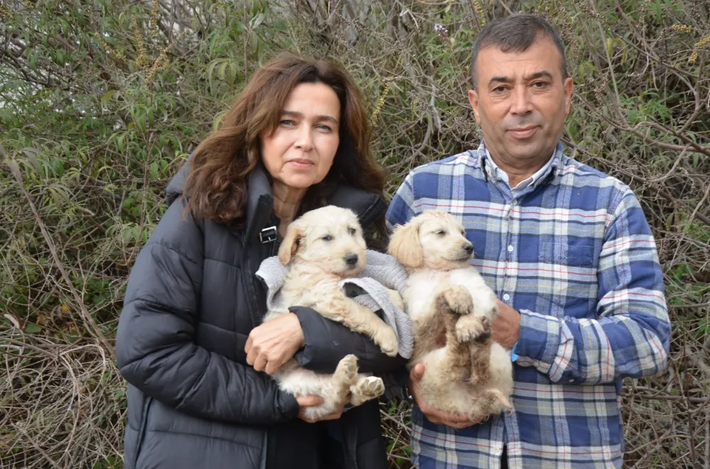 Başkan Yılmaz; “Cezası olmadığı için hayvanları katletmeye devam ediyorlar”