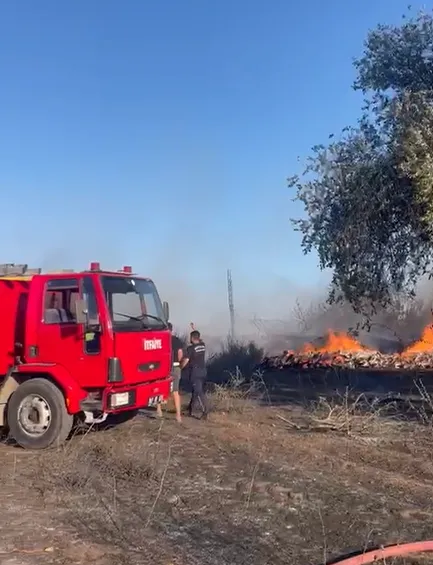 Serik’te sera artıklarından çıkan yangın seralara sıçradı