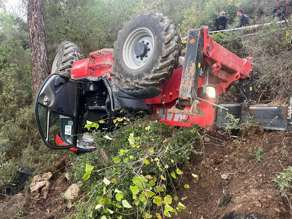 Irmağa Düşmekten Çam Ağaçları Kurtardı