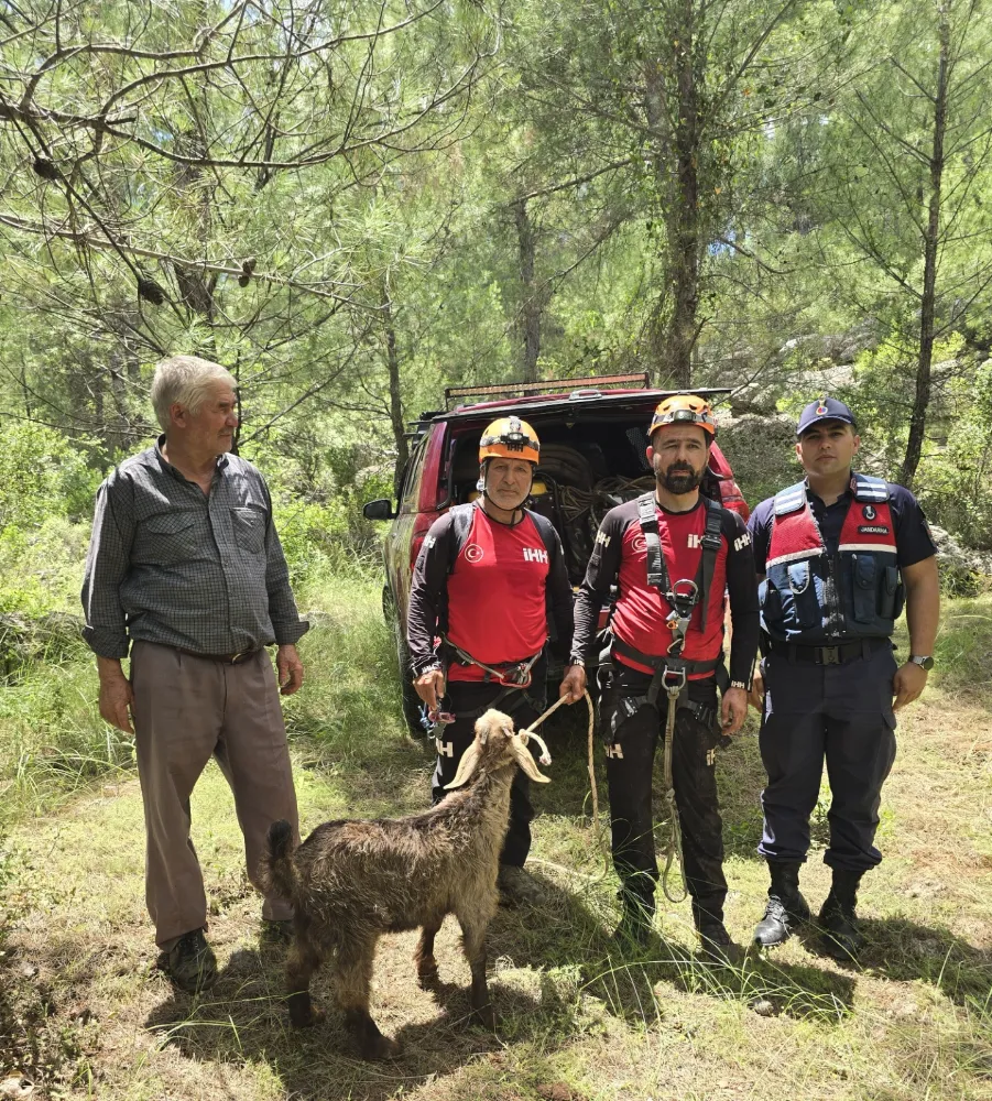 Mahsur Kalan Keçi Kurtarıldı