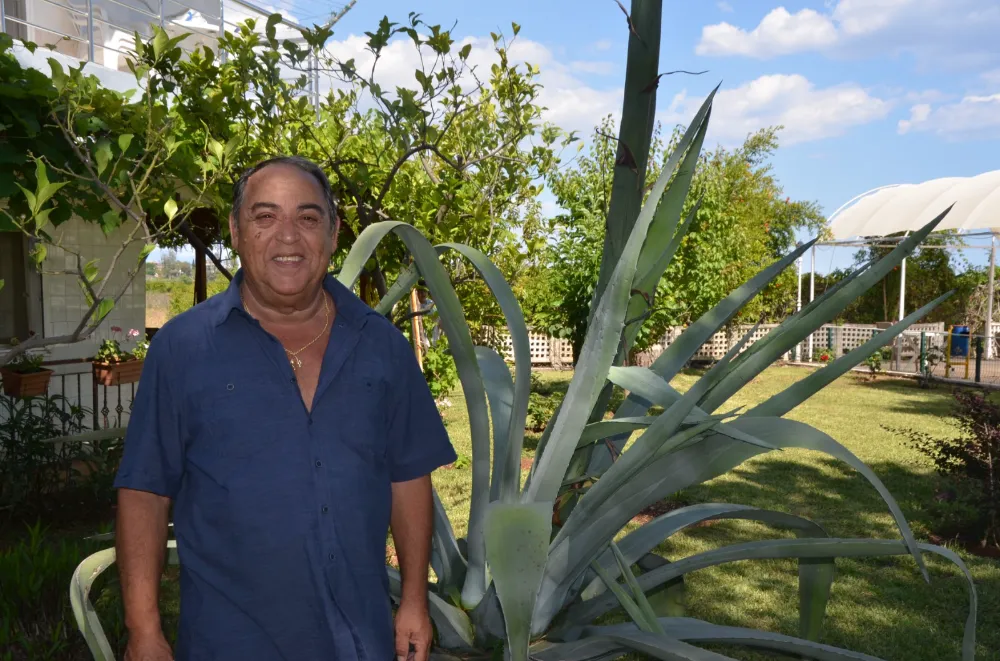 Agave Serik’te Bulundu