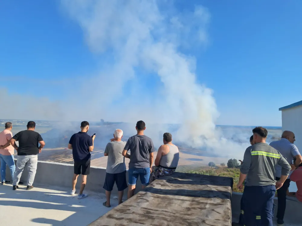 Zeytinlikteki yangın büyümeden söndürüldü