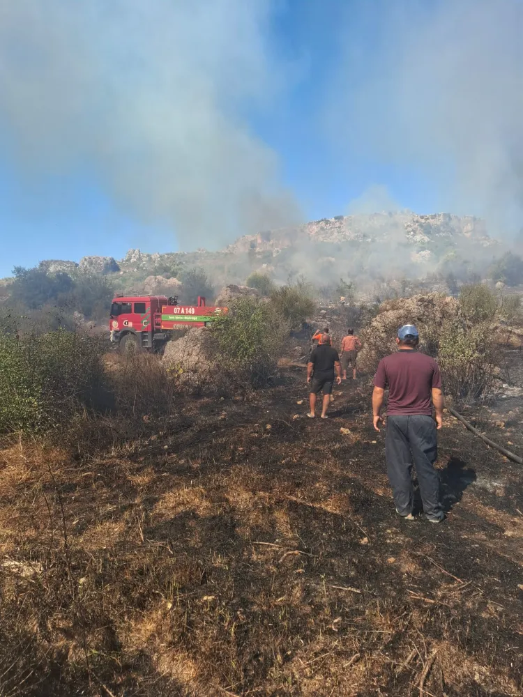 Serik'te makilik ve zeytinlik yangını
